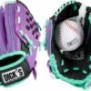 DICK'S Sporting Goods Backyard Toddler Glove W/ Ball For Girls' Purple/green